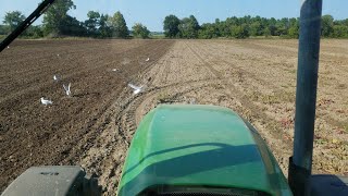 Tillage For Winter Wheat
