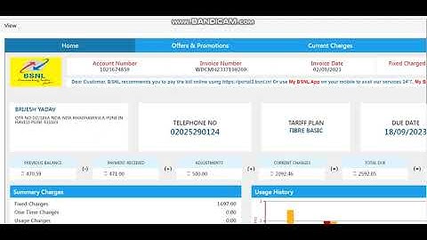 Customer Invoice View in DSCM