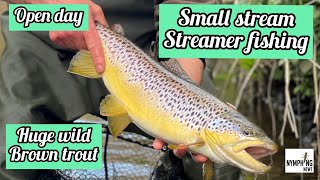 Small Stream Streamer Fishing For Big Wild Trout Uk