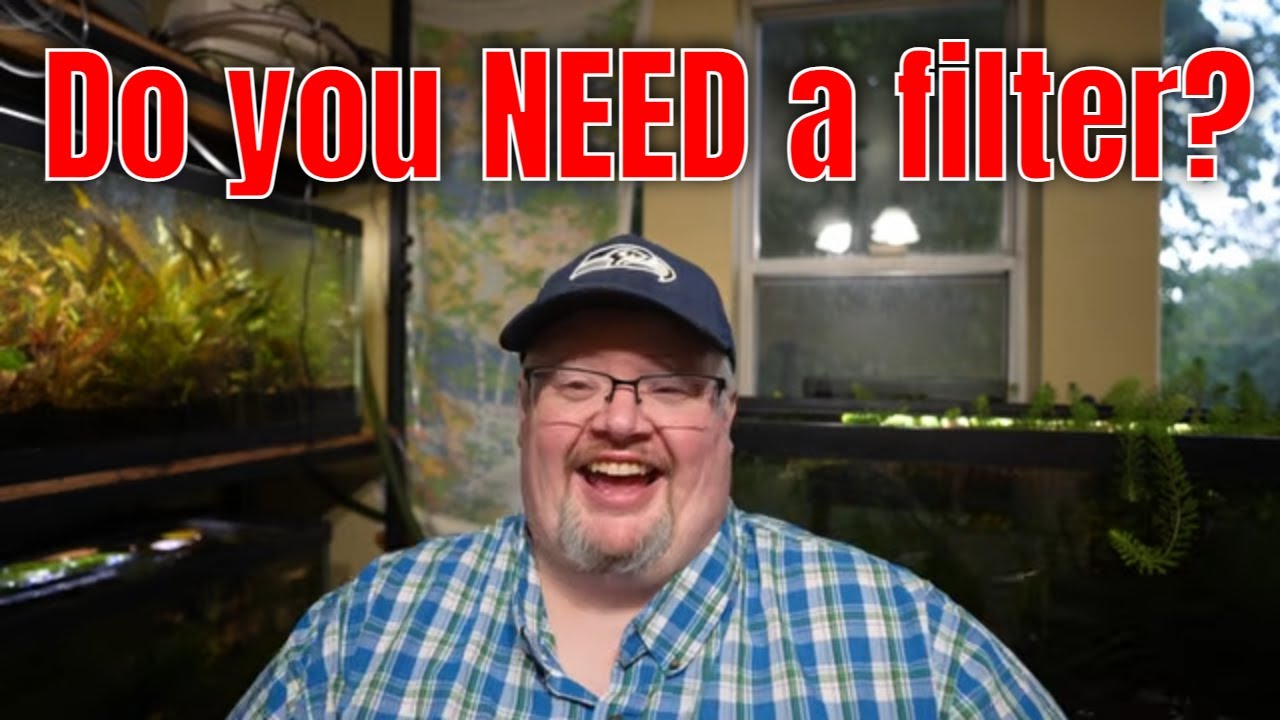 Do You Need Aquarium Filters?