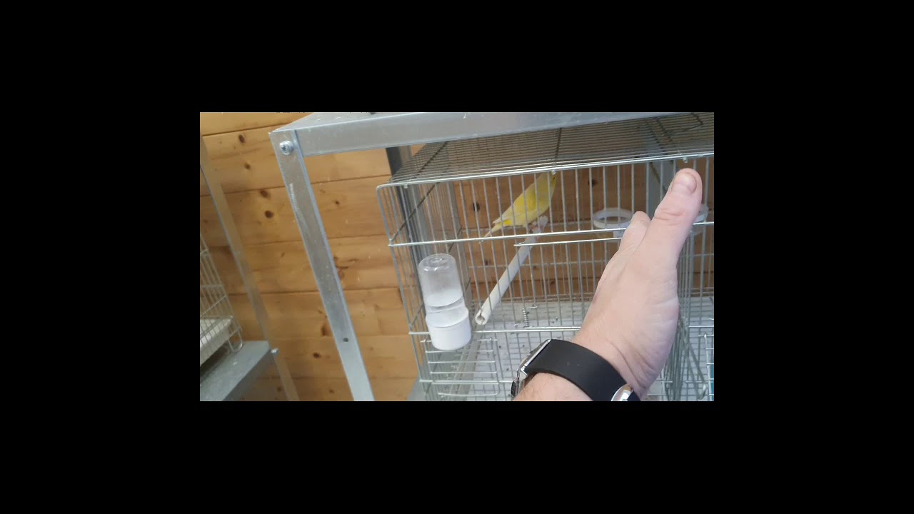 on commence la saison reproduction