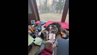 Watch Us Upload The Days First Video This Is How We Do It