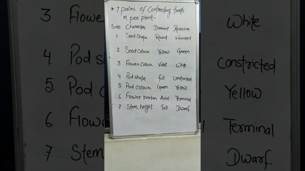 #7 pairs of contrasting traits in pea plant: Selected by 