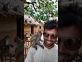 Untitled बंदरों के साथ मस्ती करते हुए वीडियो