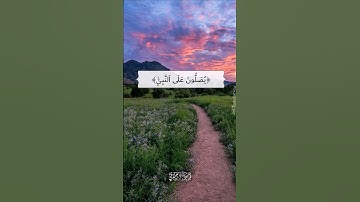 إن الله وملائكته يصلون على النبي |سورة الأحزاب |القارئ 🎙: سعود الشريم |قرآن كريم