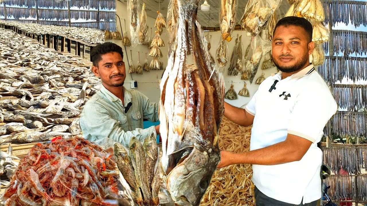 কক্সবাজার যে জায়গাতে পাইকারী দামে অর্গানিক শুটকি মাছ পাবেন