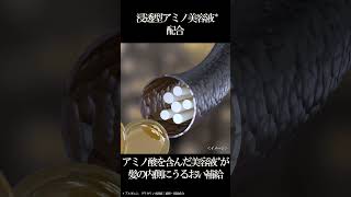 バイオラックス シェイピング バンテージ 加圧 むくみ エステ 美容 トルマリン ラックス バイオフュージョン - LUX ラックス オフィシャルサイト