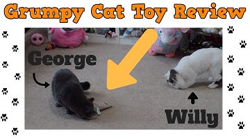 Grumpy Cat Toy Video Review - Cats Playing With Toys