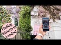 VLOG || Finding Wisteria In London