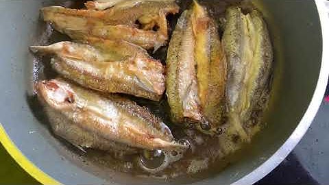 RÁN CÁ MỐI MỘT NẮNG