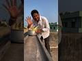 ఈ వ్యక్తి 🧑‍🦰 పక్షులకు 🦜🐦ఆహారం పెడతాడు🥰#viral #trending #shortsfeed #telugushorts #viralvideo #yt