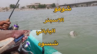 تعالو شوفو الاسبنرالياباني شسوه اليوم