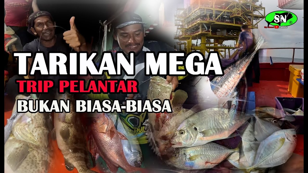TRIP PELANTAR  🦈 Tarikan Mega bukan biasa-biasa