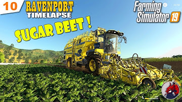 FS19 | RAVENPORT - #10 timelapse (START from SCRATCH)