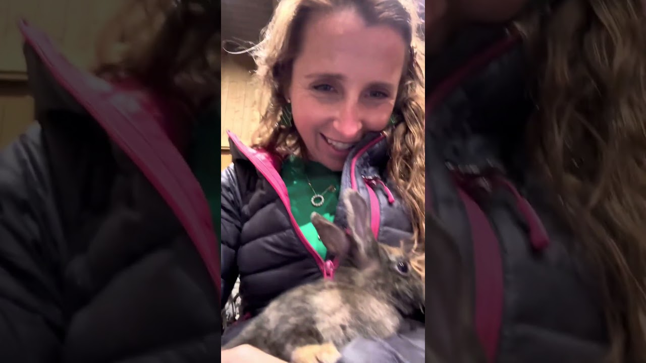 Winter Wonderland at Pennywell: Our Magical Christmas Experience