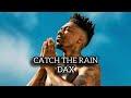 DAX - CATCH THE RAIN (Lyrics Video)