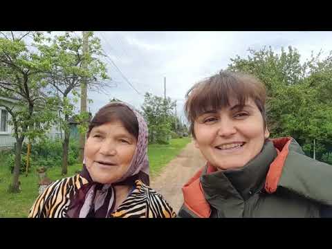 Начали делать опалубку и продолжаем пополнять хозяйство