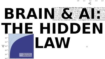 The Physics of AI: Scientists Discover a Universal Law Connecting Brains & AI