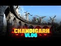Chandigarh vlog  my first vlog  pagal infinity