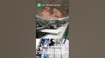 Industrial Dumpling Making Machine Automatic High-Volume Production Line for Global Food Business