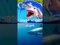Fun Toys | Sea Animal Names for Kids to Learn: Lobster Spider Crab Clownfish Seal Great White Shark