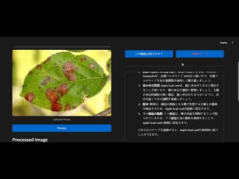 Crop Disease Identification