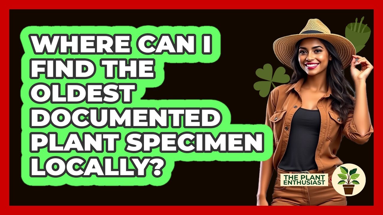 Where Can I Find The Oldest Documented Plant Specimen Locally? - The Plant Enthusiast