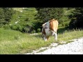Trans d'Havet 2013 Seconda parte