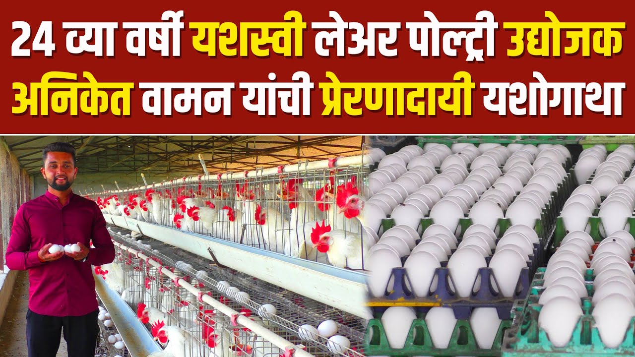 २४ व्या वर्षी यशस्वी लेअर पोल्ट्री उद्योजक अनिकेत वामन यांची प्रेरणादायी यशोगाथा Layer Poultry Farm
