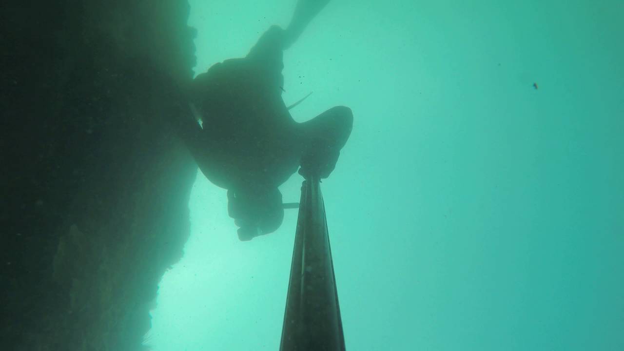 OAHU, HAWAII Spearfishing Ledge Apr 2016 YouTube