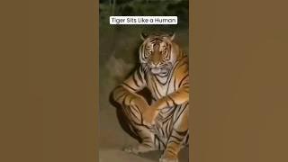 SkinWalker Disguised As Animals ☢️ PRT-53 #viral #ytshorts