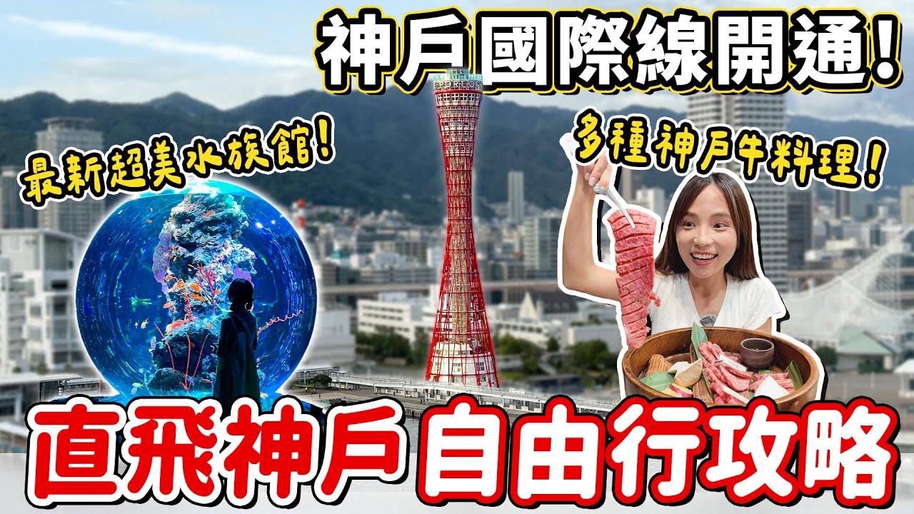 神戶國際線開通！神戶三天自由行懶人包，新開幕藝術水族館、在地人才知道的老字號樂園、必玩神戶港塔，每天晚餐都吃不同神戶牛料理，台中桃園都能直飛～｜Haven在日本