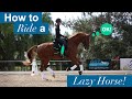 How to ride a lazy horse
