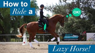 How to Ride a Lazy Horse