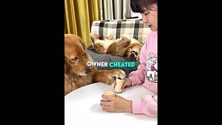 Just Let Him Eat Bro