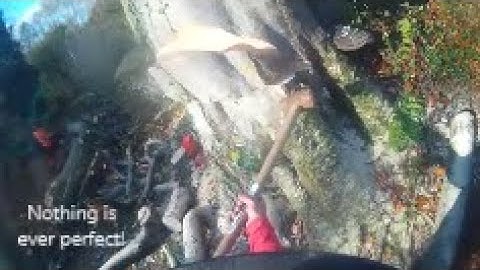 Large leaning Hazard tree dismantle and fell (720p)