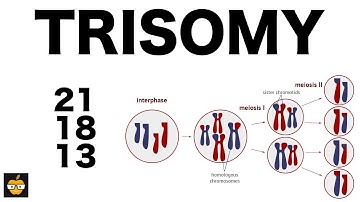 Trisomy (21, 18, and 13) & Nondisjunction Genetics