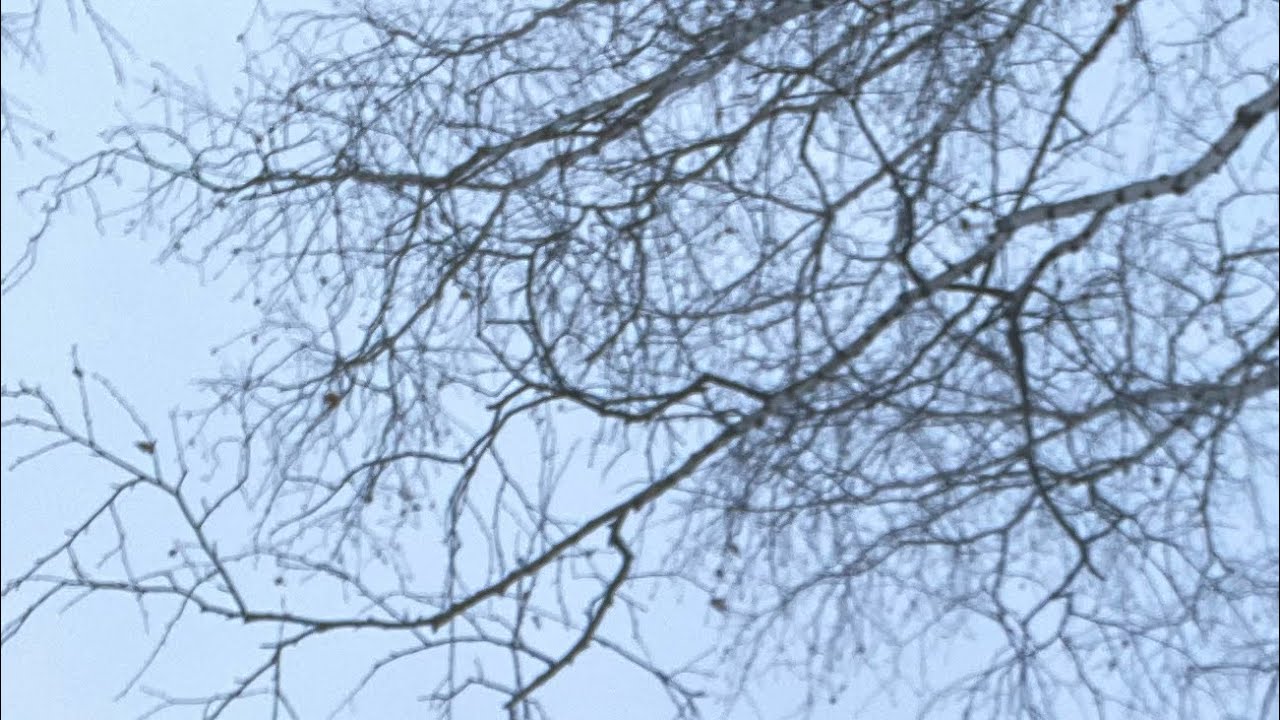 ЭLKA-Как твои дела