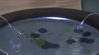 Basin Interactive Display