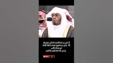 وَأَوْحَىٰ رَبُّكَ إِلَى النَّحْلِ أَنِ اتَّخِذِي مِنَ الْجِبَالِ بُيُوتًا #ياسر_الدوسري #سورة النحل
