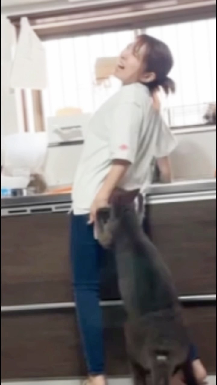 本格派ま！ カンガルーに浣腸されて腰痛めるママ#shorts YouTube - 羊毛フェルト