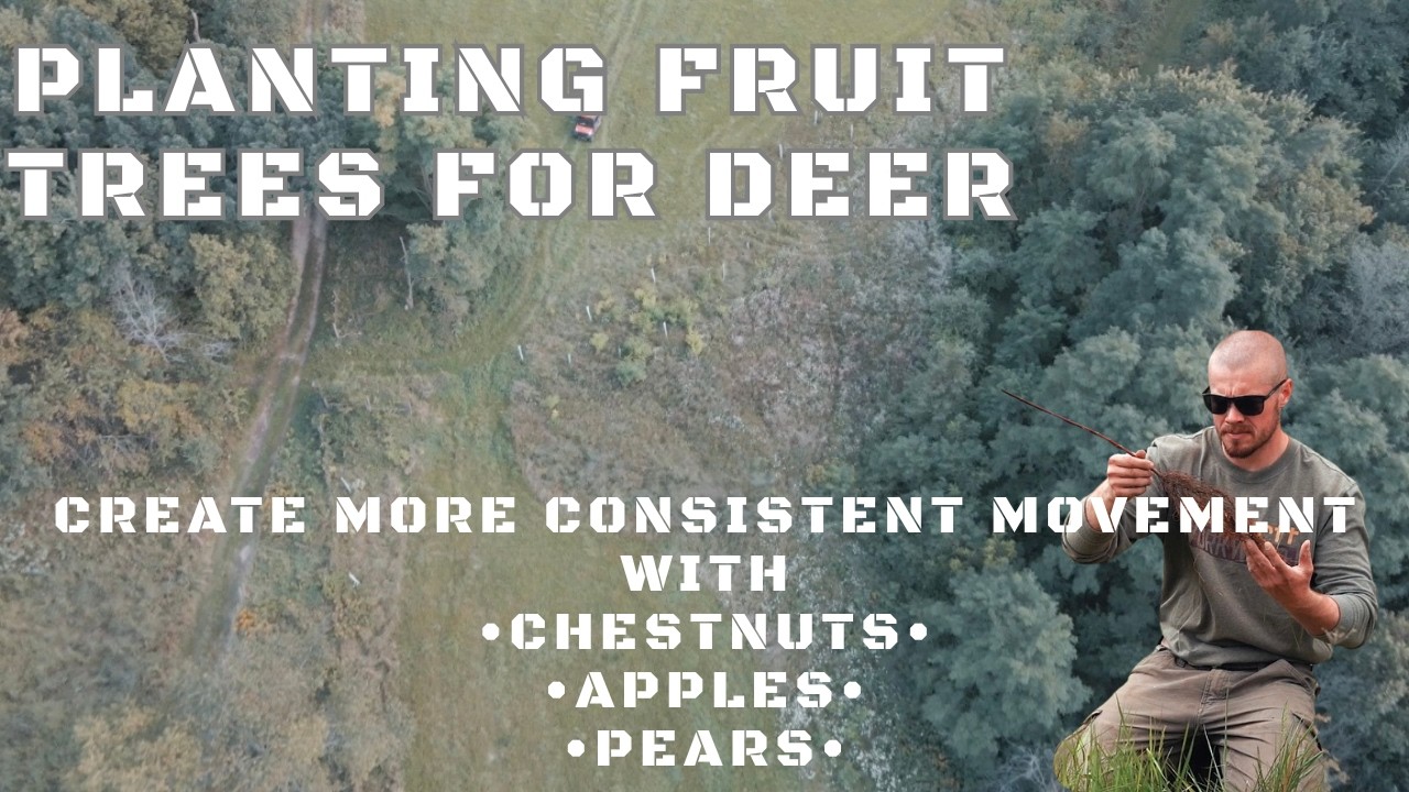 Planting Fruit Trees for Deer // Create More Consistent Movement! - YouTube