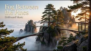 Fog Between the Pines 🌲 The Floating Pine Sanctuary | Forest Ambient Music