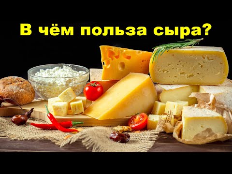 В чём польза сыра для здоровья человека? (Виды сыров)