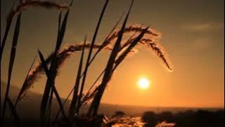 reff-Hal Hebat