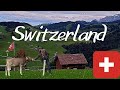 Switzerland vlog. We drive through Switzerland and see the highlights, mountains, alps, trains,