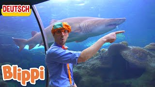 Blippi Deutsch - Blippi im Aquarium  | Abenteuer und Videos für Kinder