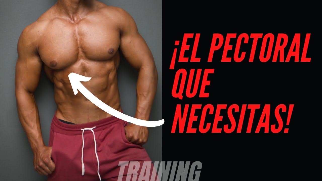 RUTINA DE PECHO EN CASA 🚀- Ejercicios para pectorales en 10 minutos ...