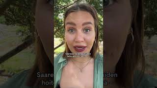 Download Lagu Seilin saarelle tuomittiin ne, joiden ei haluttu enää palaavan MP3 Download Lagu Seilin saarelle tuomittiin ne, joiden ei haluttu enää palaavan MP3