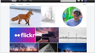 🔵Flickr🔴2023 стрим c Фовеонычем и @foveonyc screenshot 2